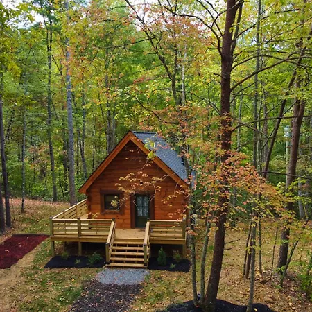 Emerald Forest! Romance, Luxury And Nature Mins To Pf And Gb Sevierville Extérieur photo