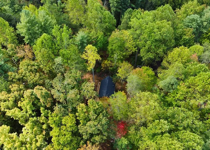 Emerald Forest! Romance, Luxury And Nature Mins To Pf And Gb