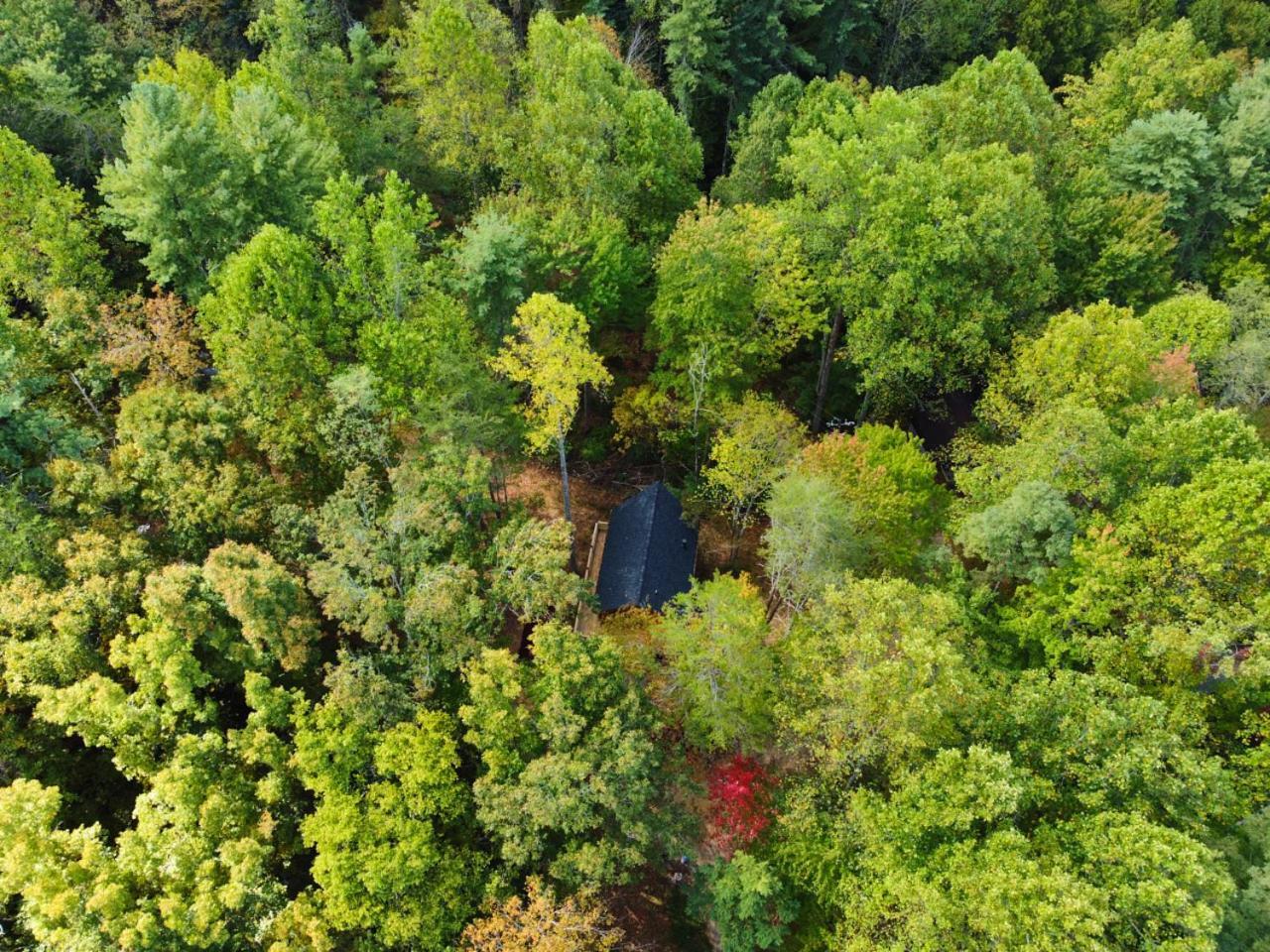 Emerald Forest! Romance, Luxury And Nature Mins To Pf And Gb * Sevierville